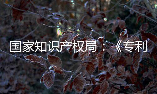 南能伦利审理审国家工智知识专专门章节强人设立局 加产权查指查